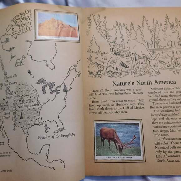 Walt Disney's True Life Adventures Stamp Book VINTAGE 1955 - Picture 6 of 9